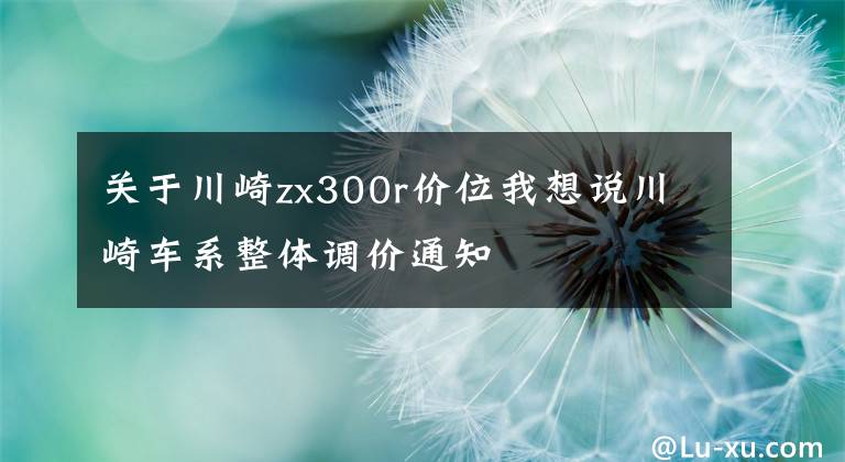 关于川崎zx300r价位我想说川崎车系整体调价通知