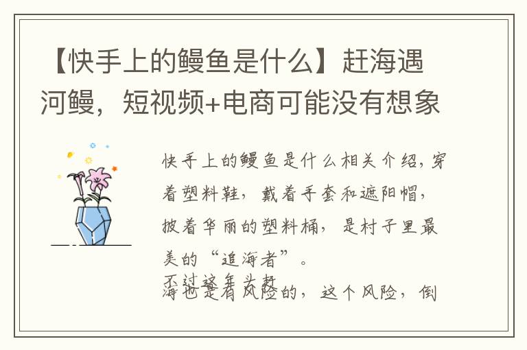【快手上的鳗鱼是什么】赶海遇河鳗,短视频+电商可能没有想象的那么好