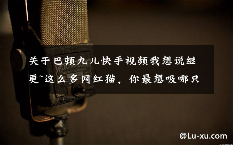 关于巴顿九儿快手视频我想说继更~这么多网红猫,你最想吸哪只?