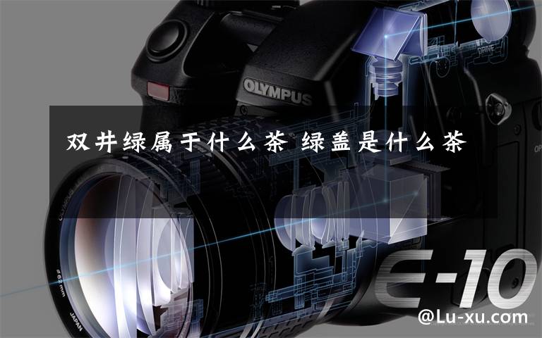 双井绿属于什么茶 绿盖是什么茶
