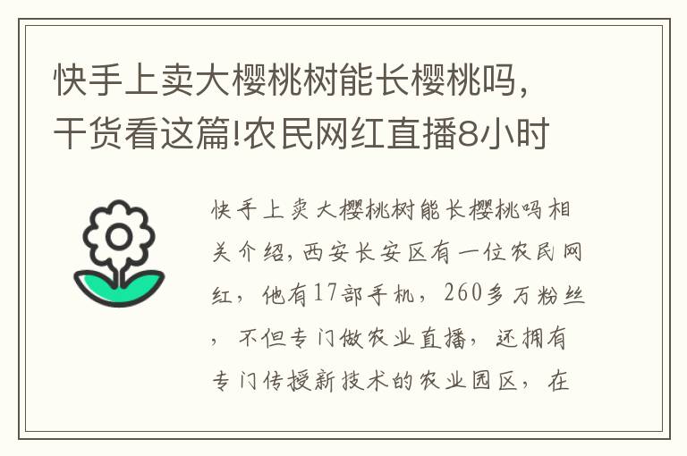 快手上卖大樱桃树能长樱桃吗,干货看这篇!农民网红直播8小时卖出2400斤樱桃!农业经济网红是否开始腾飞?