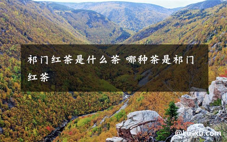 祁门红茶是什么茶 哪种茶是祁门红茶