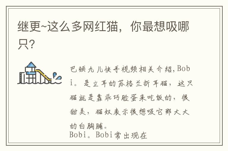 继更~这么多网红猫，你最想吸哪只？