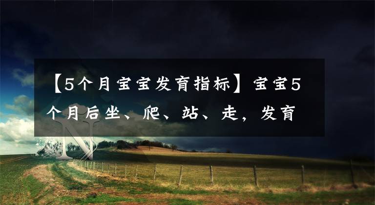 【5个月宝宝发育指标】宝宝5个月后坐、爬、站、走,发育里程碑接连而至,爸妈早准备