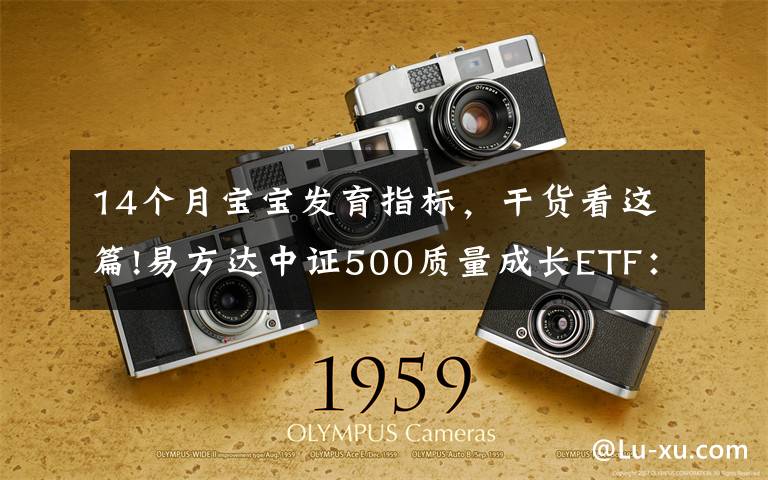 14个月宝宝发育指标,干货看这篇!易方达中证500质量成长ETF:投资专精特新高质量成长(国信策略)