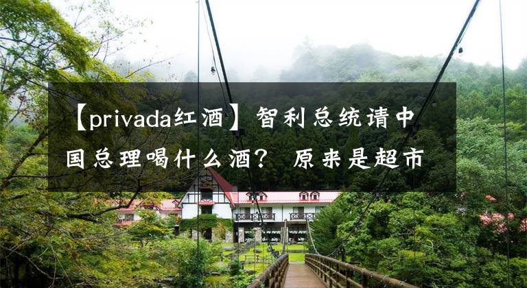 【privada红酒】智利总统请中国总理喝什么酒？ 原来是超市卖138元的干红！