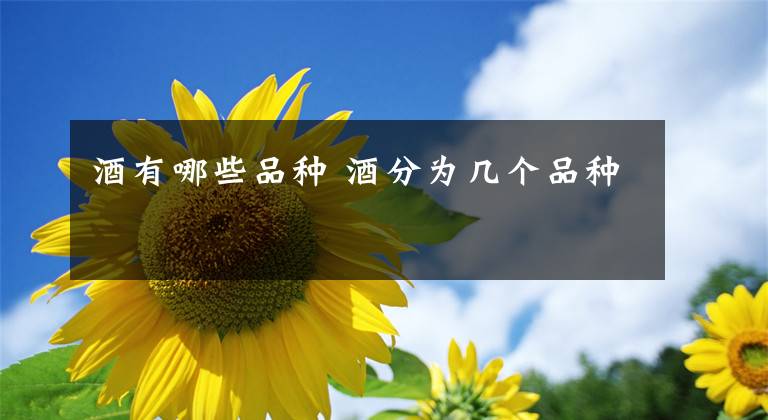 酒有哪些品种 酒分为几个品种