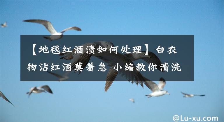 【地毯红酒渍如何处理】白衣物沾红酒莫着急 小编教你清洗不留迹