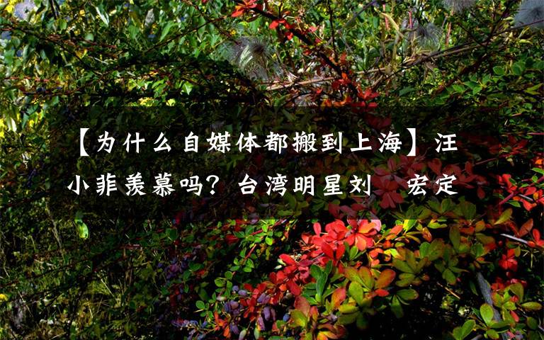 【为什么自媒体都搬到上海】汪小菲羡慕吗?台湾明星刘畊宏定居上海,大S却觉得北京没台湾好