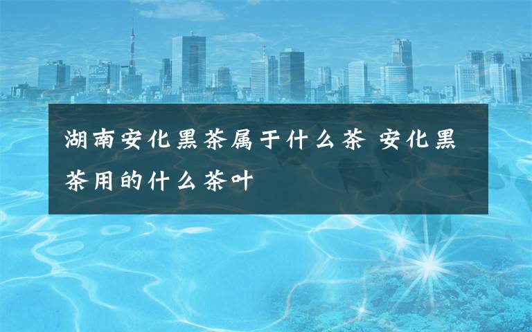 湖南安化黑茶属于什么茶 安化黑茶用的什么茶叶