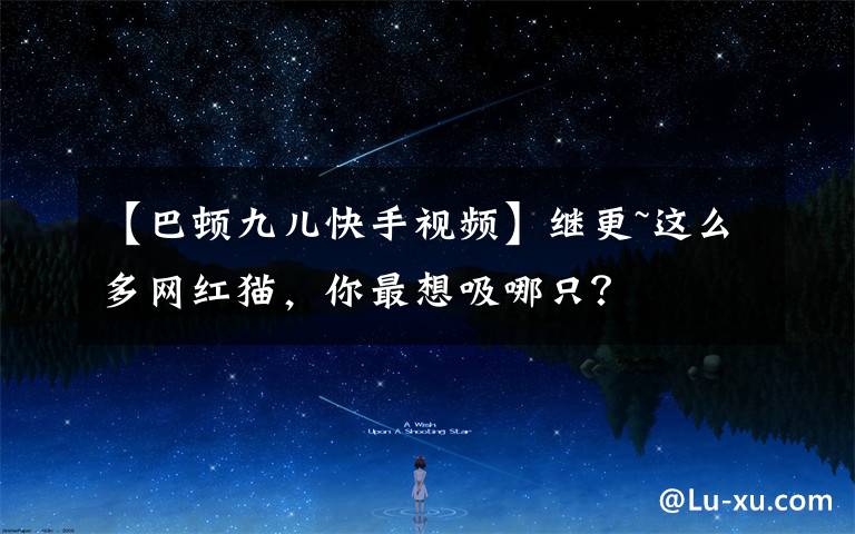 【巴顿九儿快手视频】继更~这么多网红猫,你最想吸哪只?