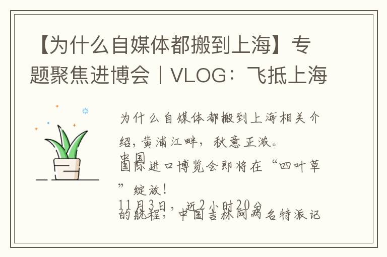 【为什么自媒体都搬到上海】专题聚焦进博会丨VLOG:飞抵上海后 在展会中“记者娘家”被暖到了……