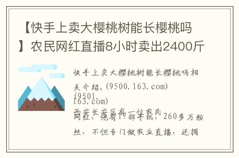 【快手上卖大樱桃树能长樱桃吗】农民网红直播8小时卖出2400斤樱桃!农业经济网红是否开始腾飞?