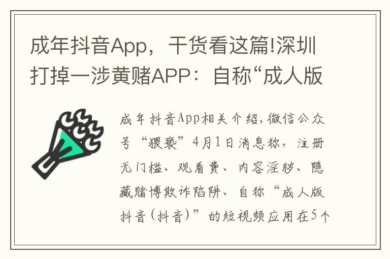 成年抖音App,干货看这篇!深圳打掉一涉黄赌APP:自称“成人版抖音”,获利过千万