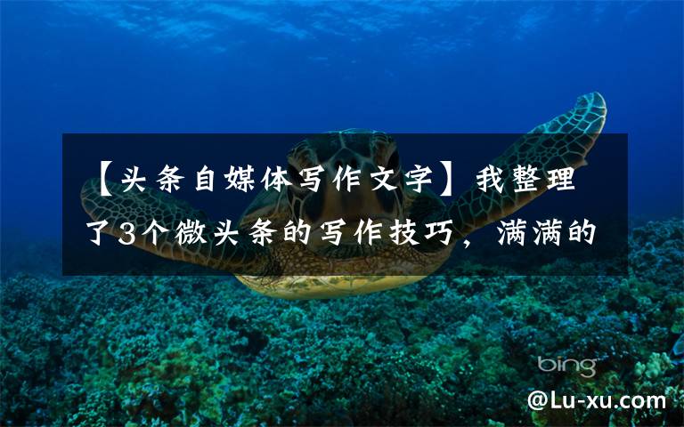 【头条自媒体写作文字】我整理了3个微头条的写作技巧,满满的干货,建议收藏