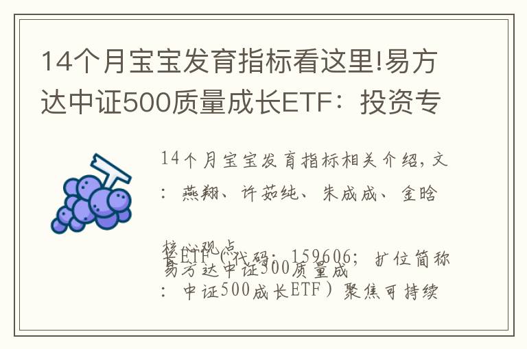 14个月宝宝发育指标看这里!易方达中证500质量成长ETF:投资专精特新高质量成长(国信策略)