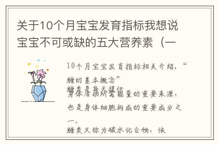 关于10个月宝宝发育指标我想说宝宝不可或缺的五大营养素(一)
