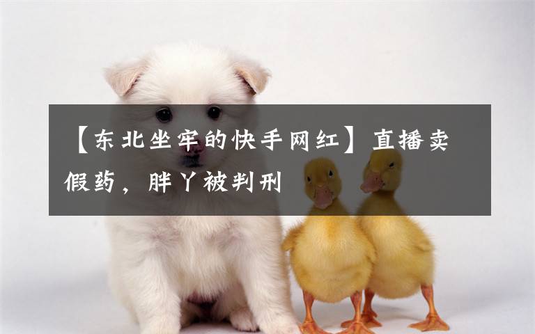 【东北坐牢的快手网红】直播卖假药,胖丫被判刑