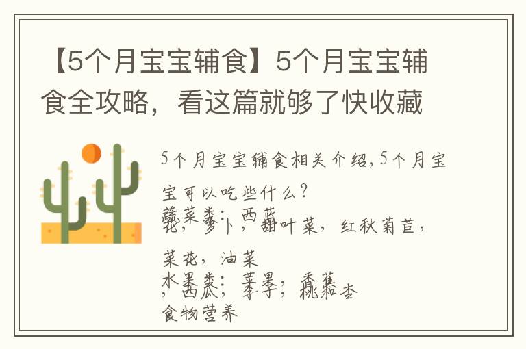 【5个月宝宝辅食】5个月宝宝辅食全攻略,看这篇就够了快收藏吧!