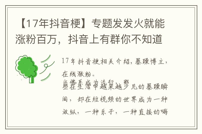 【17年抖音梗】专题发发火就能涨粉百万,抖音上有群你不知道的暴躁博主