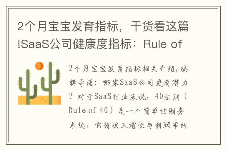 2个月宝宝发育指标,干货看这篇!SaaS公司健康度指标:Rule of 40