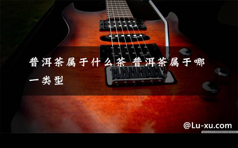 普洱茶属于什么茶 普洱茶属于哪一类型