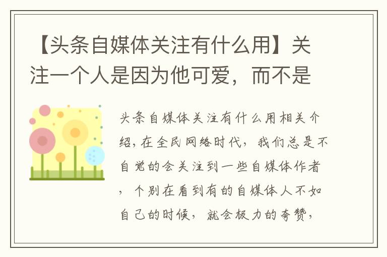 【头条自媒体关注有什么用】关注一个人是因为他可爱,而不是他可怜