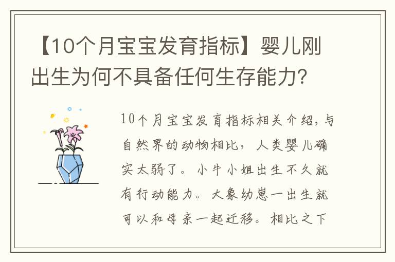 【10个月宝宝发育指标】婴儿刚出生为何不具备任何生存能力?