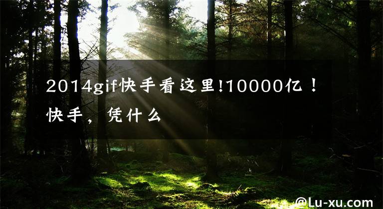 2014gif快手看这里!10000亿！快手，凭什么