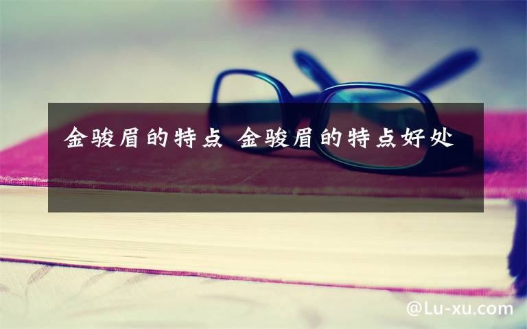 金骏眉的特点 金骏眉的特点好处