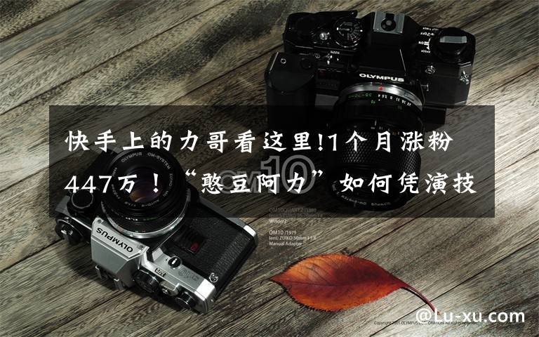 快手上的力哥看这里!1个月涨粉447万!“憨豆阿力”如何凭演技斩获千万粉丝?