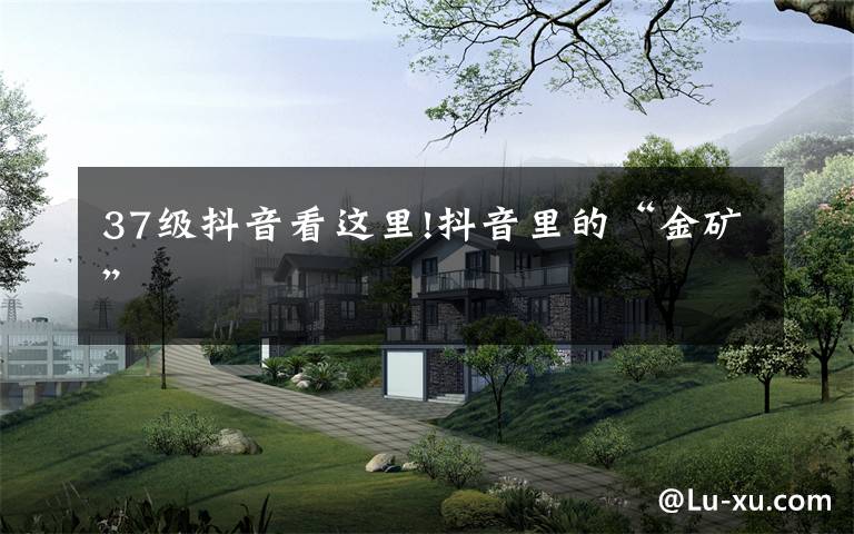 37级抖音看这里!抖音里的“金矿”
