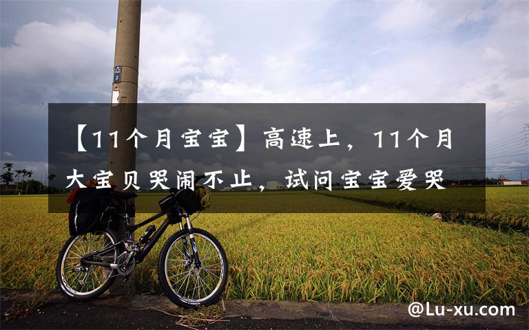 【11个月宝宝】高速上,11个月大宝贝哭闹不止,试问宝宝爱哭怎么安抚他?