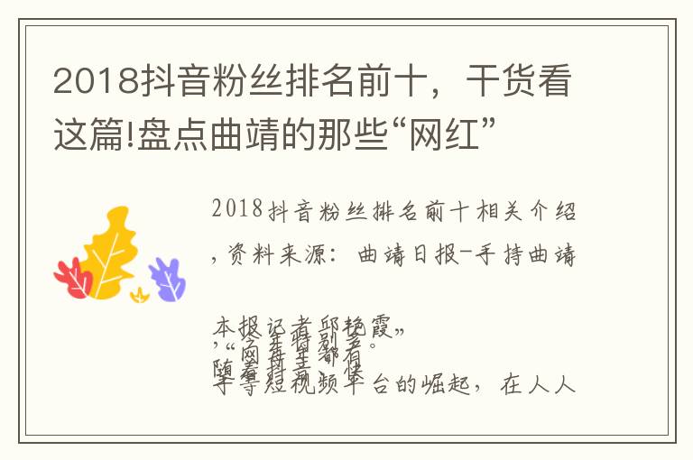 2018抖音粉丝排名前十,干货看这篇!盘点曲靖的那些“网红”