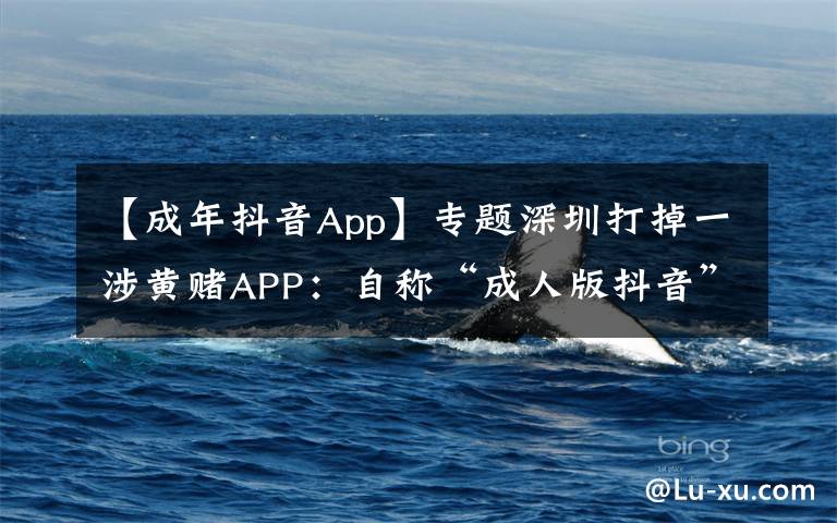 【成年抖音App】专题深圳打掉一涉黄赌APP:自称“成人版抖音”,获利过千万