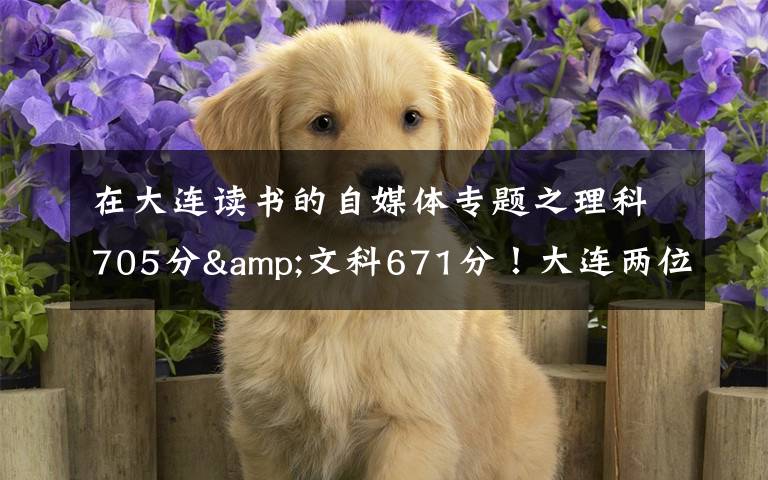 在大连读书的自媒体专题之理科705分&文科671分!大连两位高考“学神”讲述学习心经