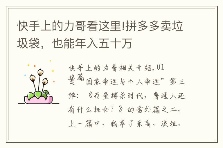 快手上的力哥看这里!拼多多卖垃圾袋,也能年入五十万