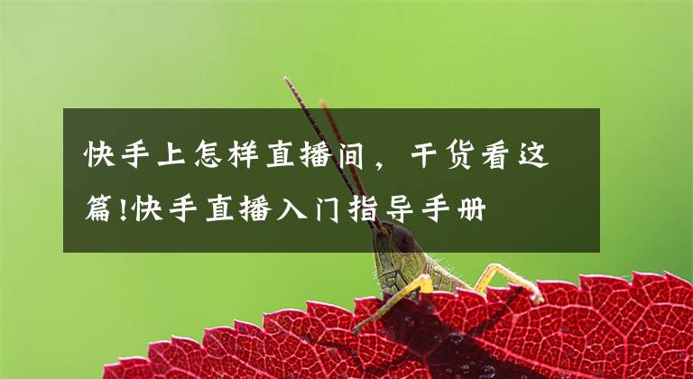 快手上怎样直播间,干货看这篇!快手直播入门指导手册