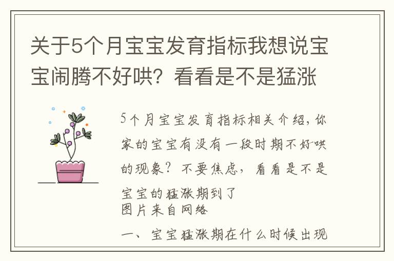 关于5个月宝宝发育指标我想说宝宝闹腾不好哄?看看是不是猛涨期到了