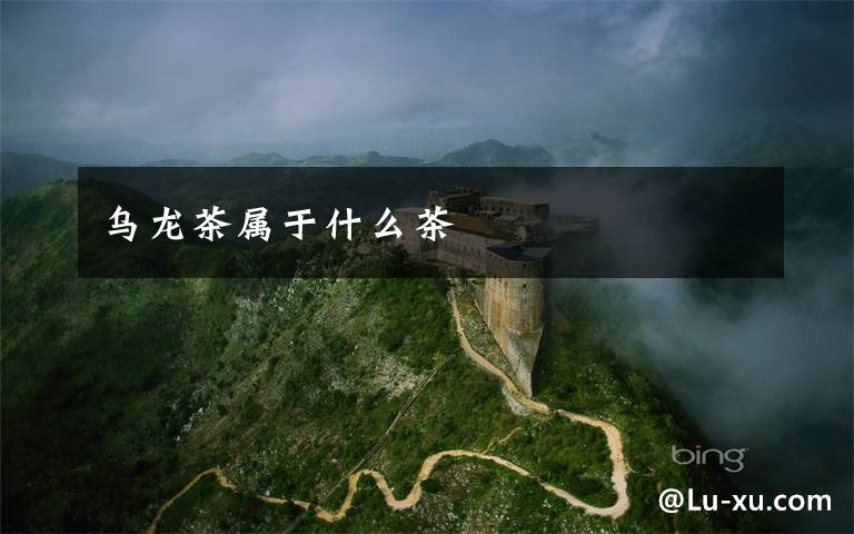 乌龙茶属于什么茶