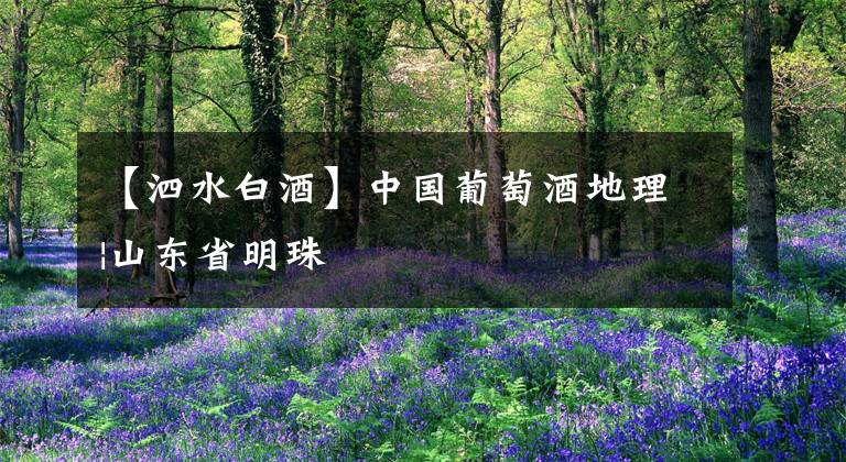 【泗水白酒】中国葡萄酒地理|山东省明珠