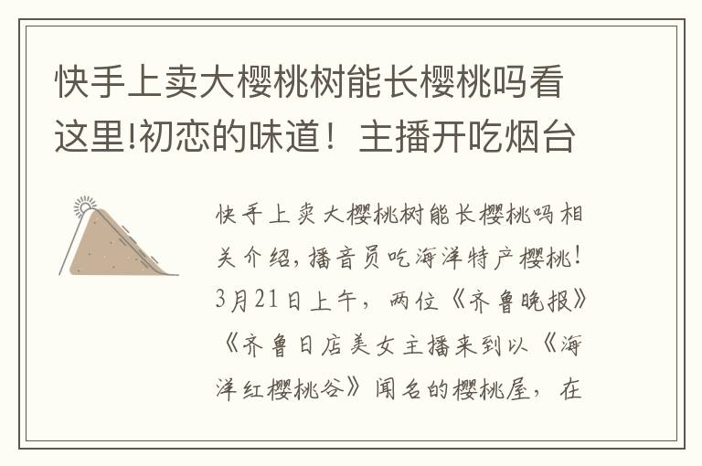 快手上卖大樱桃树能长樱桃吗看这里!初恋的味道!主播开吃烟台海阳小樱桃,6万余人在线围观