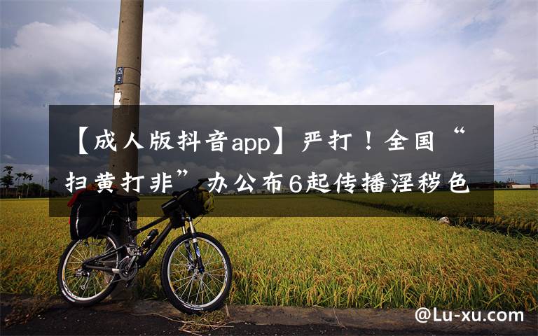 【成人版抖音app】严打!全国“扫黄打非”办公布6起传播淫秽色情信息案件