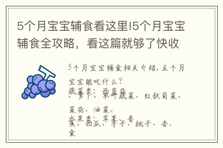 5个月宝宝辅食看这里!5个月宝宝辅食全攻略,看这篇就够了快收藏吧!