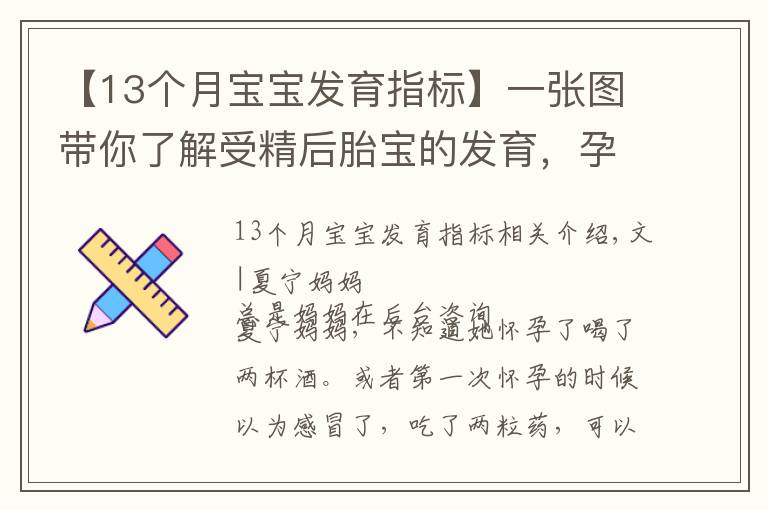 【13个月宝宝发育指标】一张图带你了解受精后胎宝的发育,孕妈早清楚避免畸形发生