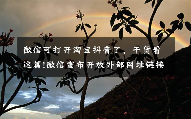 微信可打开淘宝抖音了,干货看这篇!微信宣布开放外部网址链接