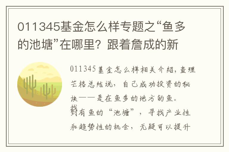 011345基金怎么样专题之“鱼多的池塘”在哪里?跟着詹成的新基金“下杆钓鱼”吧