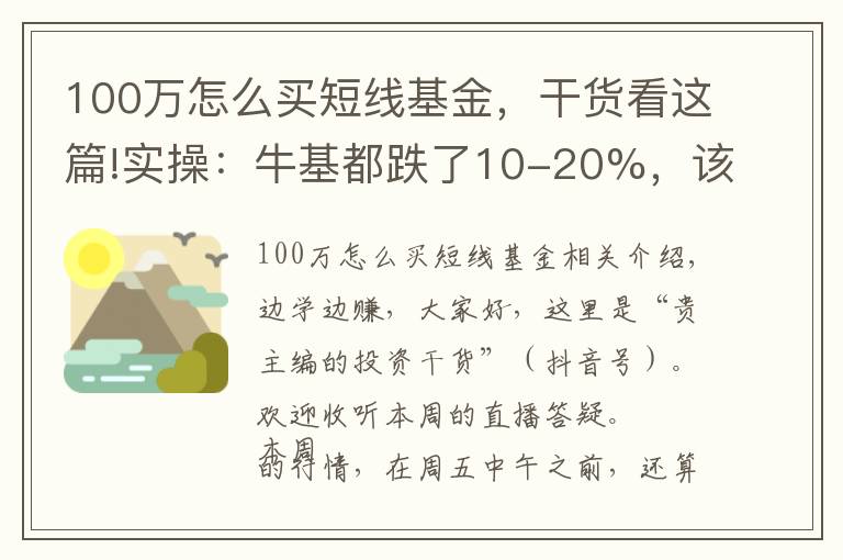 100万怎么买短线基金,干货看这篇!实操:牛基都跌了10-20%,该怎么补仓、换仓?
