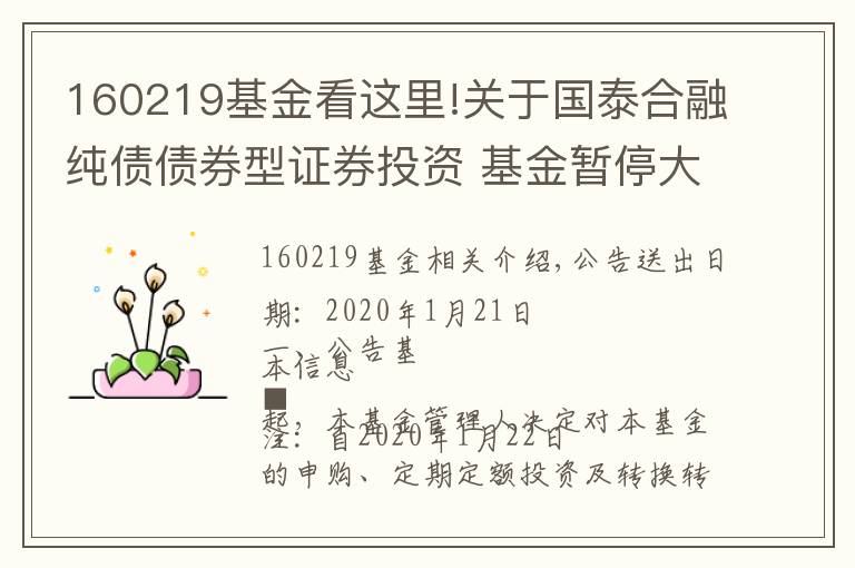 160219基金看这里!关于国泰合融纯债债券型证券投资 基金暂停大额申购(含定投)及转换转入业务的公告