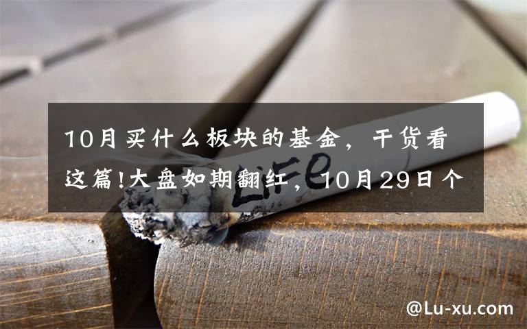 10月买什么板块的基金,干货看这篇!大盘如期翻红,10月29日个人基金分享